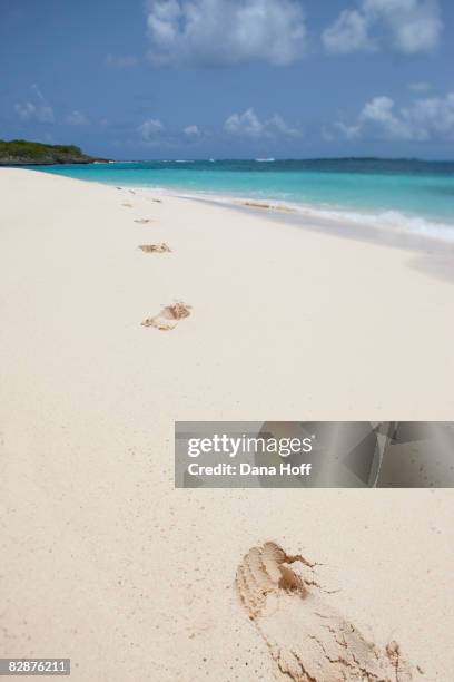 foot steps in sand on remote beach in bahamas - abaco islands stockfoto's en -beelden