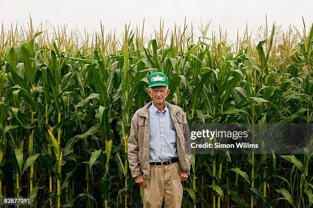 farmer standing in front corn field - virginia amerikaanse staat stockfoto's en -beelden