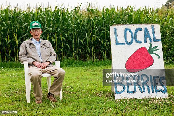 farmer sitting in front of corn field - homegrown produce stock pictures, royalty-free photos & images