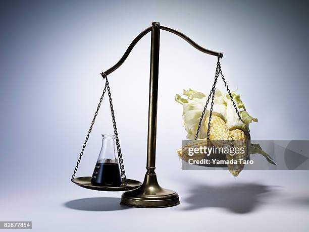 corn and oil on a scale - wonky vegetables stock pictures, royalty-free photos & images