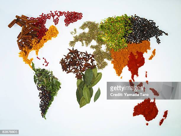 world map with spices and herbs - spice stock pictures, royalty-free photos & images