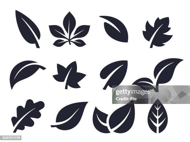 leaf icons and symbols - nature icons stock illustrations