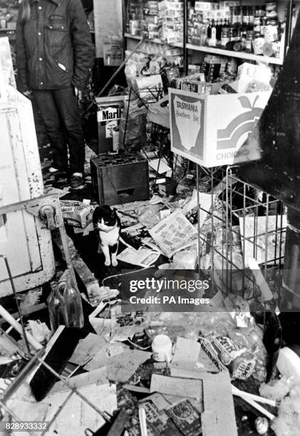 Toxteth Riots Reporter Toxteth Riots Photos and Premium High Res Pictures - Getty Images