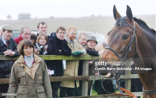 Trainer Henrietta Knight shows her two time winner of the Tote Cheltenham Gold Cup "Best Mate" to the media at her stables near Wantage, Oxfordshire.
