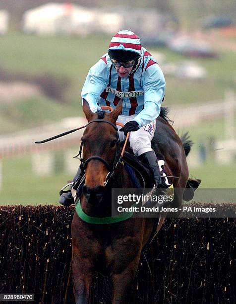 Jim Culloty on Best Mate clears the final fence their third consecutive win in the Cheltenham Gold Cup steeplechase the third and final day of the...