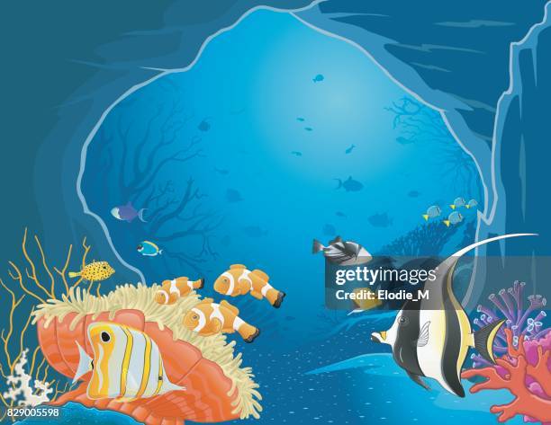 grotto under the sea / caverne sous la mer - ocean triggerfish stock illustrations