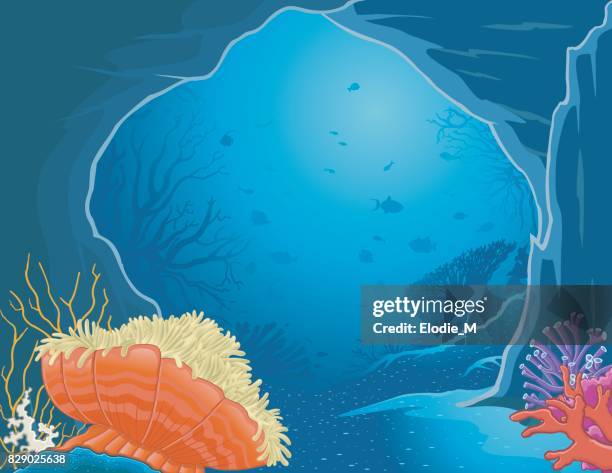 unterwasser grotte / grotte sous la mer - grotte stock-grafiken, -clipart, -cartoons und -symbole