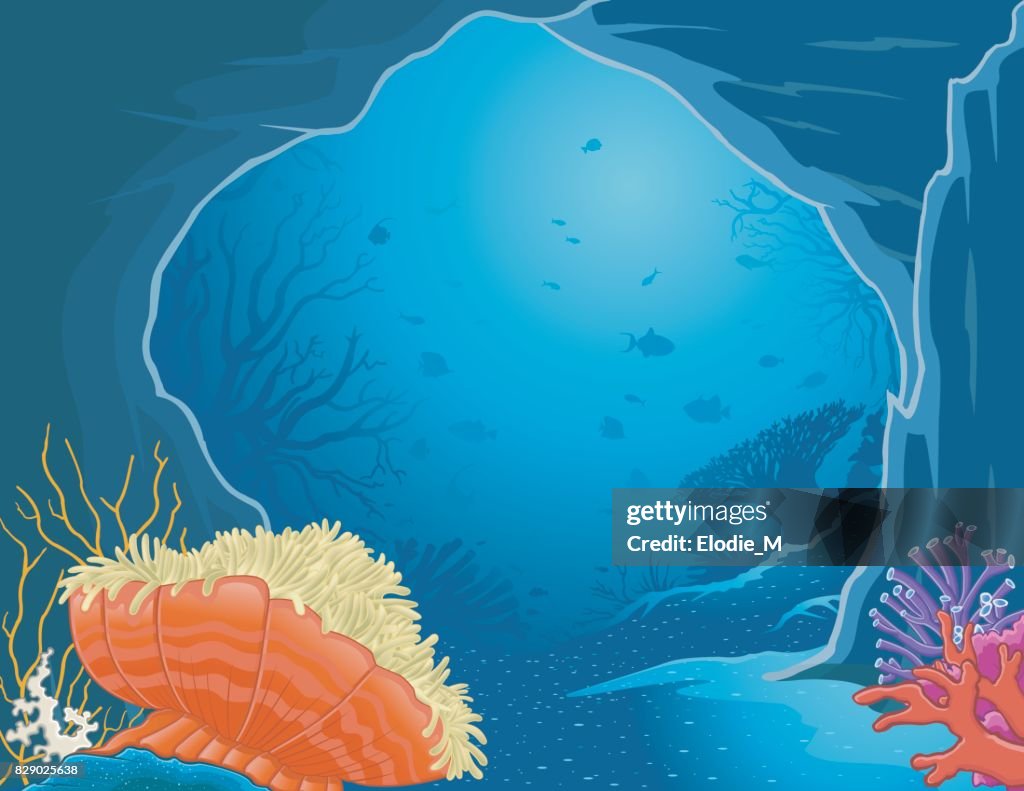 Undersea grotto / Cave under the sea