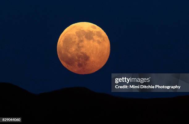 Ed Moon The Red Moon Photos and Premium High Res Pictures - Getty Images