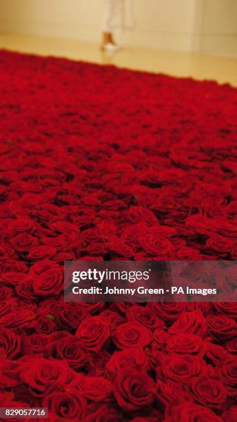 204 Anya Rose Stock Photos, High-Res Pictures, and Images - Getty Images