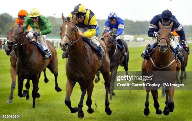 Max Chipchase 228 Chipchase Stock Photos, High-Res Pictures, and Images - Getty Images