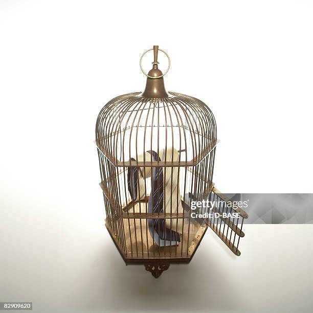 Breaking Out Of Cage Photos and Premium High Res Pictures - Getty Images