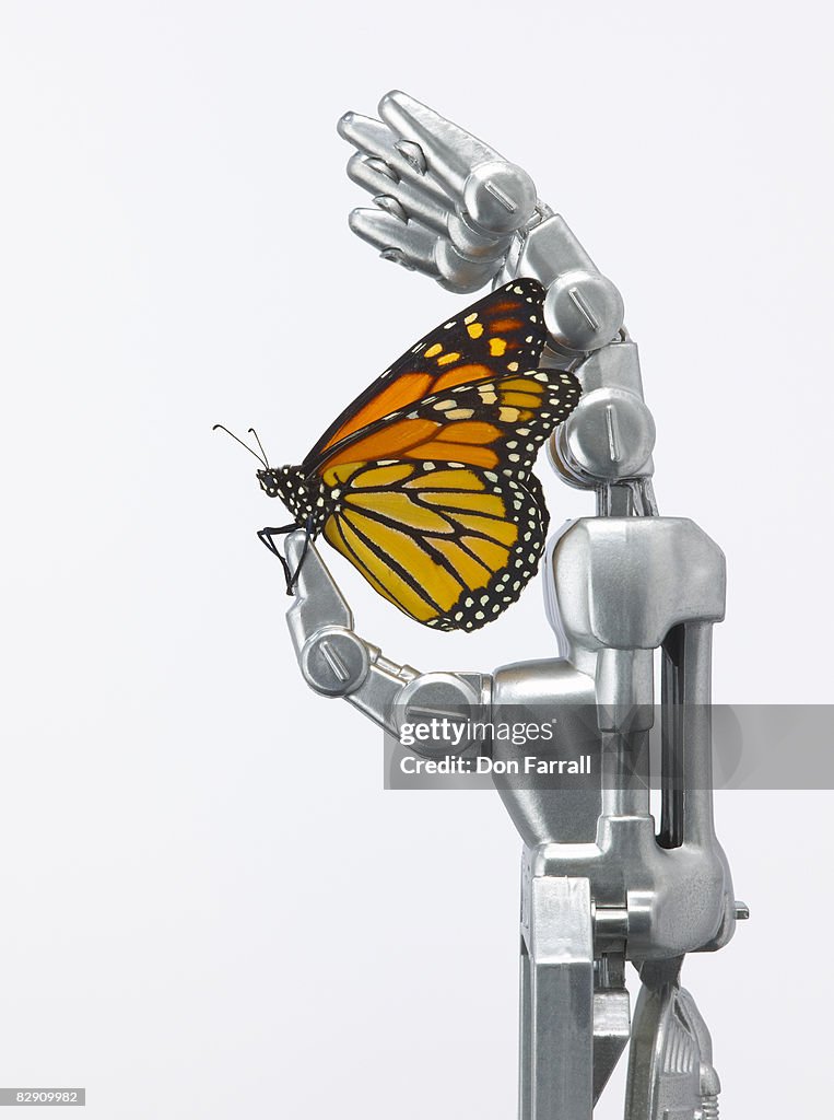 Monarch butterfly and robotic hand