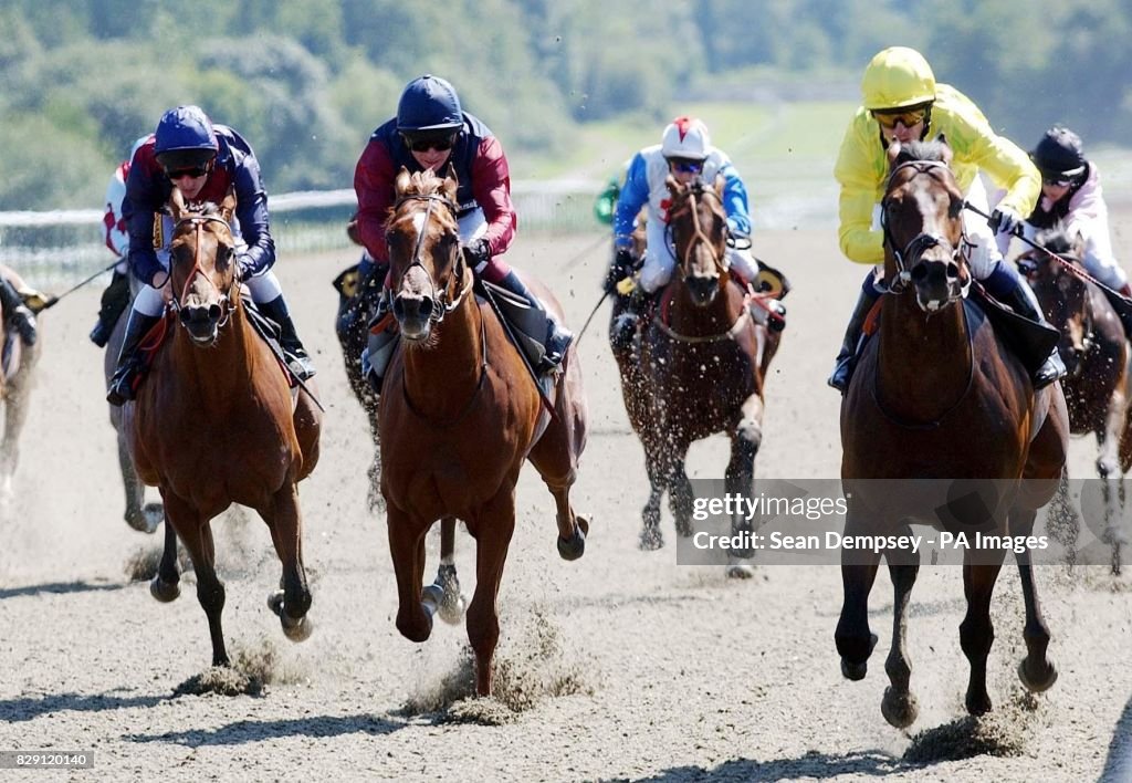 Racing From Lingfield