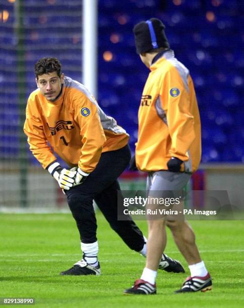 299 Torwart Francesco Toldo Stock Photos, HighRes Pictures, and Images