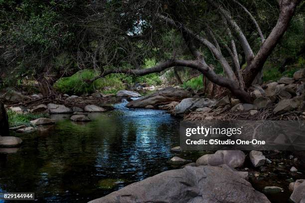 flowing creek - escondido, california stock pictures, royalty-free photos & images