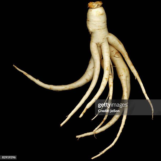 ginseng roots (panax quinquefolius) - ginseng stockfoto's en -beelden