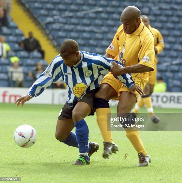 385 Leo Knight Photos & High Res Pictures - Getty Images