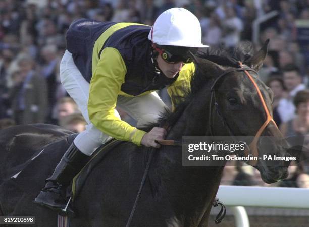 Captain Saif ridden by Dane O'neill wins the JRA London Office's 10th Anniversary Conditions Stakes at Ascot.