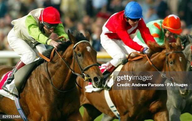 Chris Rutter 1,850 Rowley Park Stock Photos, High-Res Pictures, and Images - Getty ...