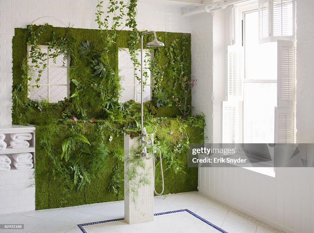 Plant-covered shower wall