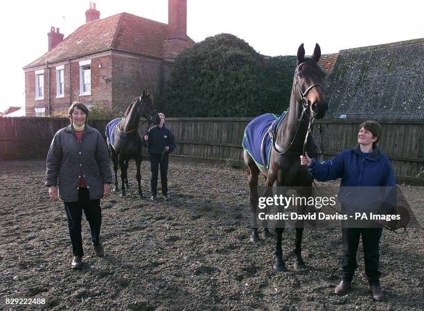 Trainer Henrietta Knight with Inca Trail and full brother Best Mate at her Lockinge Farm Stables near Wantage in Oxfordshire. * Best Mate s...