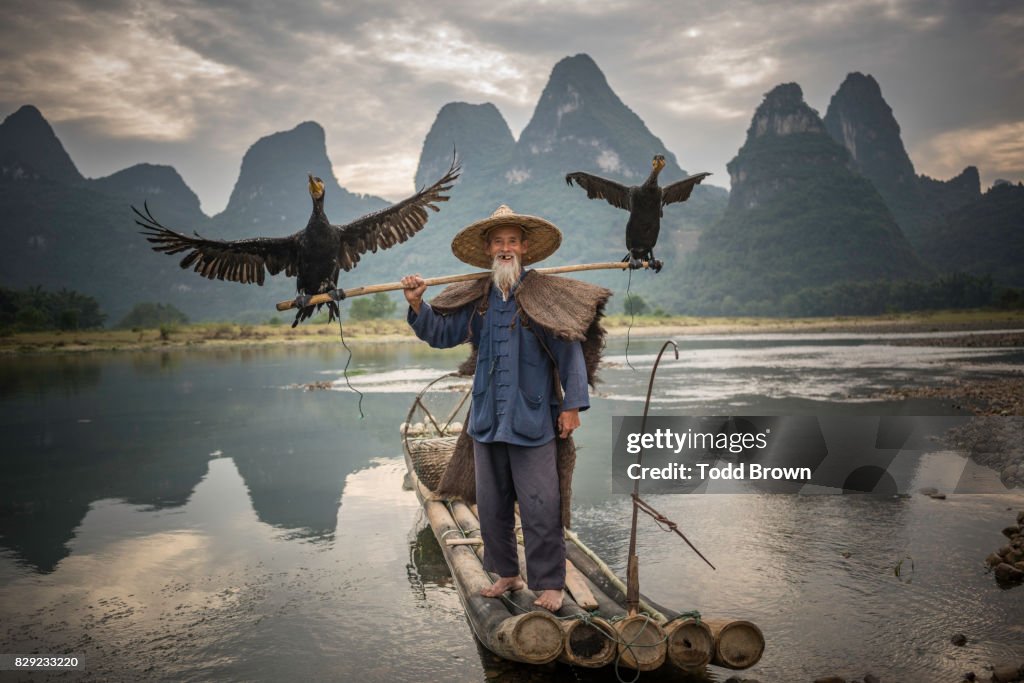 Cormorant Fisherman stands with birds on boat