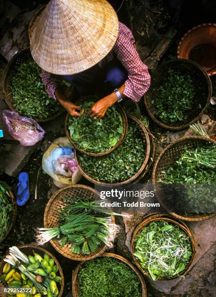 woman with conical hat from above with vegetables - hanoi fotografías e imágenes de stock