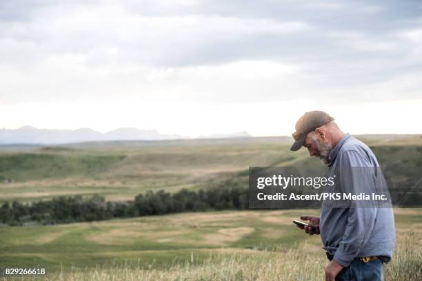 rancher sends text on smart phone, range and mountains behind - smart casual - fotografias e filmes do acervo