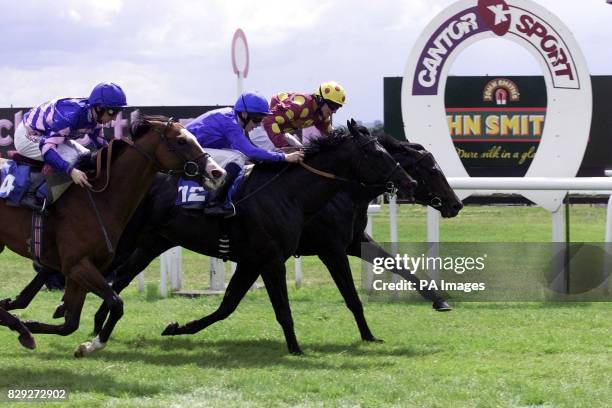 Max Chipchase 228 Chipchase Stock Photos, High-Res Pictures, and Images - Getty Images