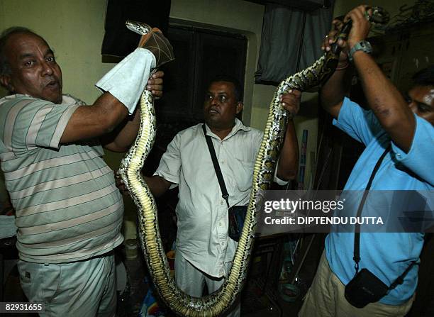 Indian animal lovers hold a Rock Python after it was rescued from Belakoba area by 'Animal Link' - an animal rescue organisation in Siliguri on...