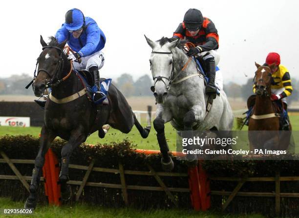 Nawamees, ridden by Tony McCoy, left, jumps the last ahead of Turgeonev ridden by David O'Meara to win the 'Wishing Mary Reveley A Happy Retirement'...
