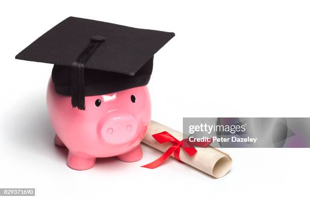 graduate piggy bank wearing mortar board with diploma - diploma - fotografias e filmes do acervo