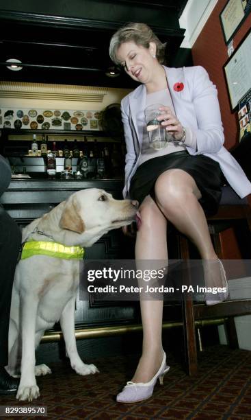 The Rt. Hon Theresa May MP with Danni the guide dog in the Bellamy bar at the House of Commons in central London. Over 100 MP's opened the bar to...