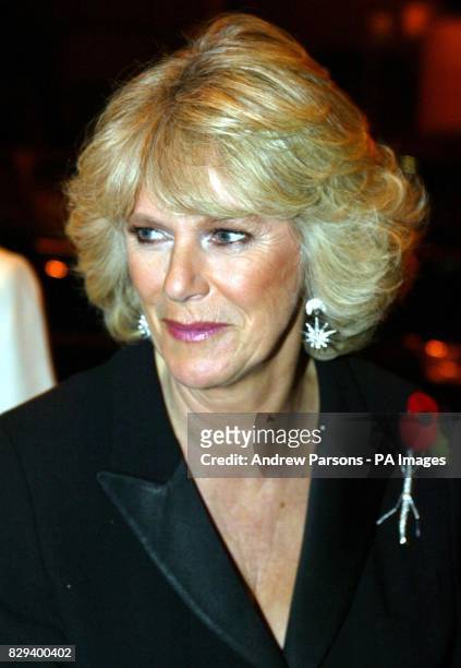 Camilla Horn Photos and Premium High Res Pictures - Getty Images