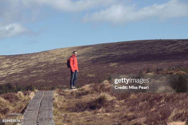 man hikes on trail lined with railway sleepers - lamaçal imagens e fotografias de stock