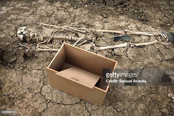 The remains of a human being lay next to a wooden box at the San Rafael mass grave where an estimated of 4500 bodies where found, September 9, 2008...
