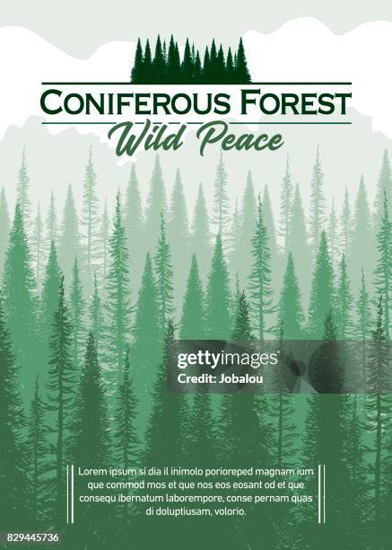 stockillustraties, clipart, cartoons en iconen met naaldhout bos achtergrond - red pine