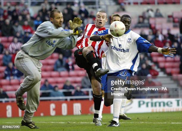 Sunderland's Stephen Elliott tussles with Crystal Palace's Darren Powell and Gabor Kiraly.
