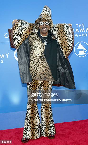 Singer Bootsy Collins attends the 44th Annual Grammy Awards at Staples Center February 27, 2002 in Los Angeles, CA.