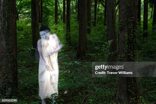 Butoh Shell 355 Butoh Stock Photos, High-Res Pictures, and Images - Getty Images