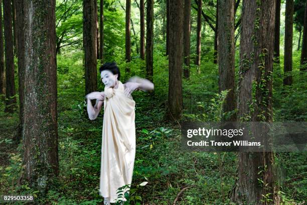 Butoh Shell 355 Butoh Stock Photos, High-Res Pictures, and Images - Getty Images