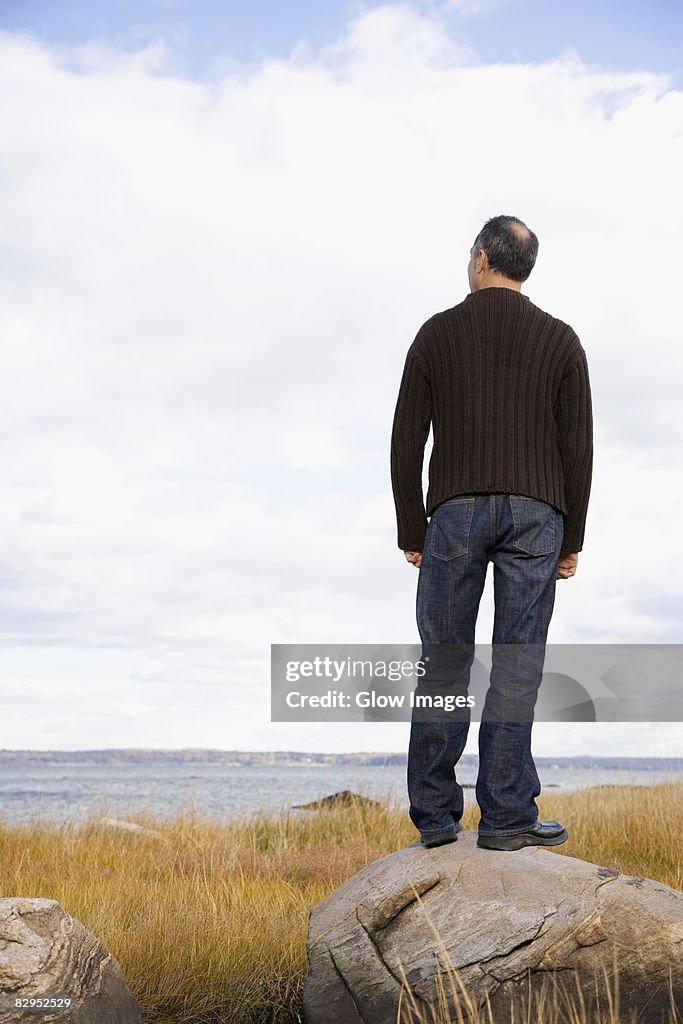 Rear view of a mature man standing on a rock