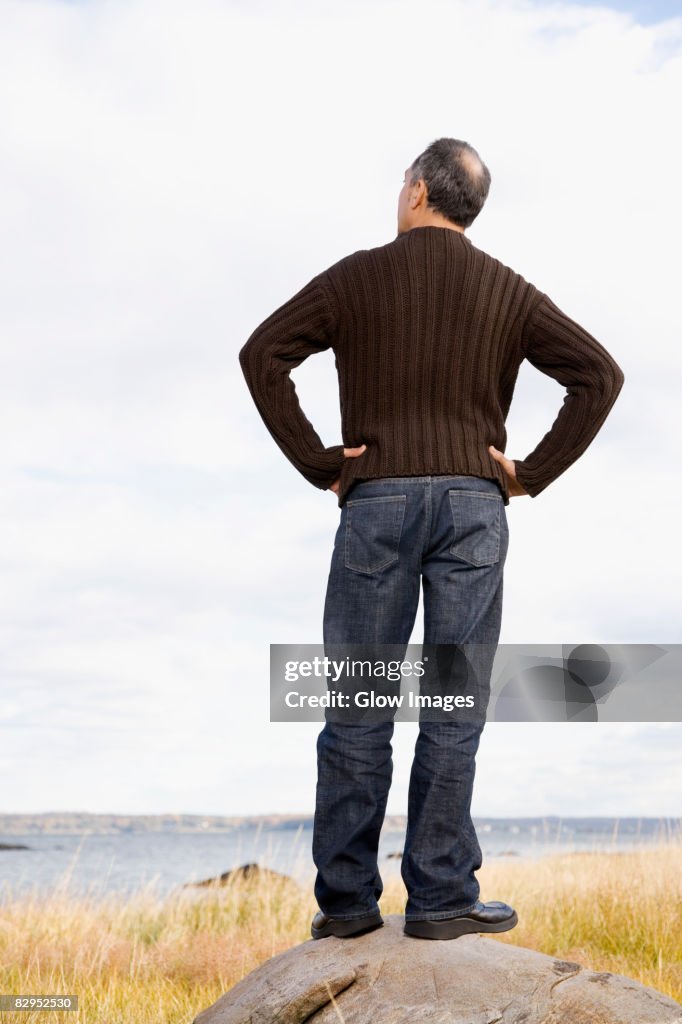 Rear view of a mature man standing on a rock with arms akimbo