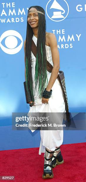 Singer Erykah Badu attends the 44th Annual Grammy Awards at Staples Center February 27, 2002 in Los Angeles, CA.