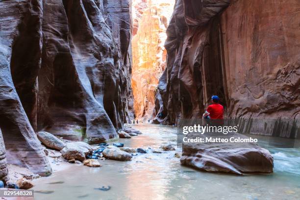 man hiking in the narrows, zion national park, usa - zion narrows stock pictures, royalty-free photos & images