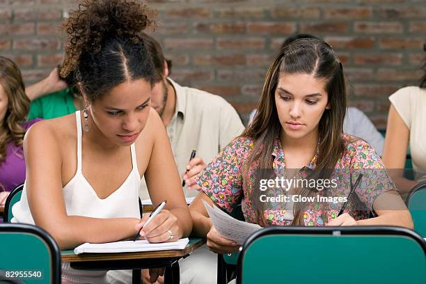 university students studying in a classroom - hair parting stockfoto's en -beelden