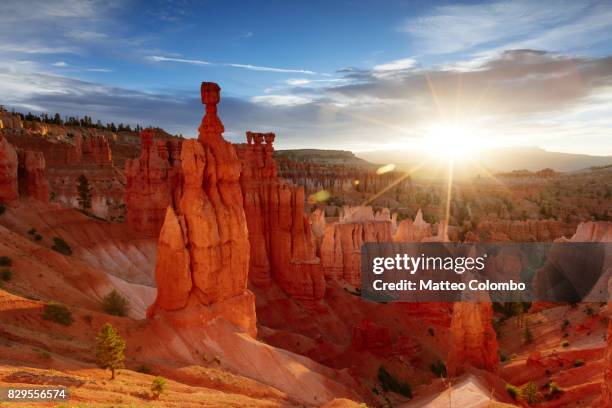 sunrise over thor's hammer, bryce np, usa - rock hoodoo stock pictures, royalty-free photos & images