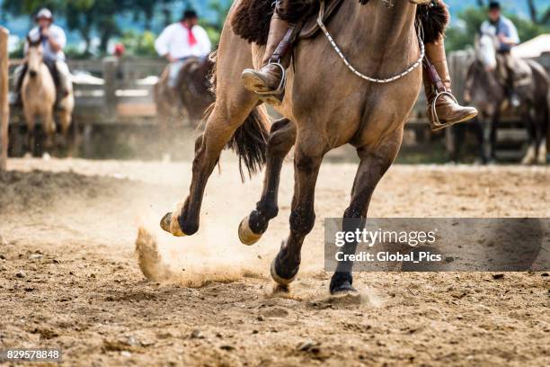 rodeo - brazil (rodeo crioulo) - gaucho festival stock pictures, royalty-free photos & images