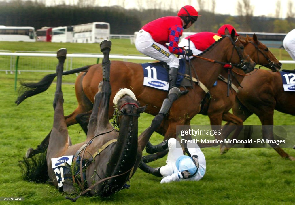 Horse Racing - Scottish Champion Hurdle - Ayr Racecourse